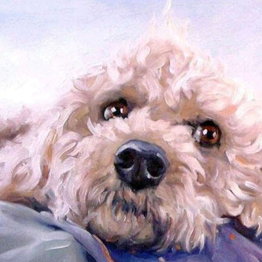 Bộ tranh đính đá 5D DIY hình chó con, tranh đính đá Diamntrum Animal Pet, tranh thêu pha lê theo số, bộ tranh nghệ thuật làm quà tặng trang trí tường nhà - màu sắc - Xem 1