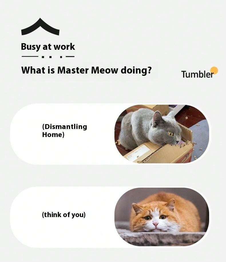 AYESY 2in1 Katzenspielzeug - Interaktiver Rollball Mit Beutel