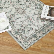 Washable Area Rug, Border Floral Rug Bo-Hemian Vintage Rug Paisley Floral Carpet Stain-Resistant Rug, Farmhouse Rugs Living Room Bedroom Dining Home Office - 米色-2x3 英尺 - 查看 4