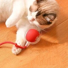 1 quả bóng đồ chơi trêu mèo tự động có thể sạc lại bằng USB, có cấu trúc nhựa bền bỉ để giải trí tương tác, giúp giải tỏa sự nhàm chán và cung cấp đồ chơi điện tử tự động thông minh cho mèo và chó nhỏ - Đỏ - Xem 9
