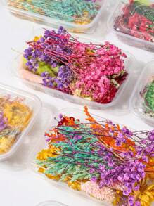 混合乾燥花材 - 1盒混合乾花 - 查看 3