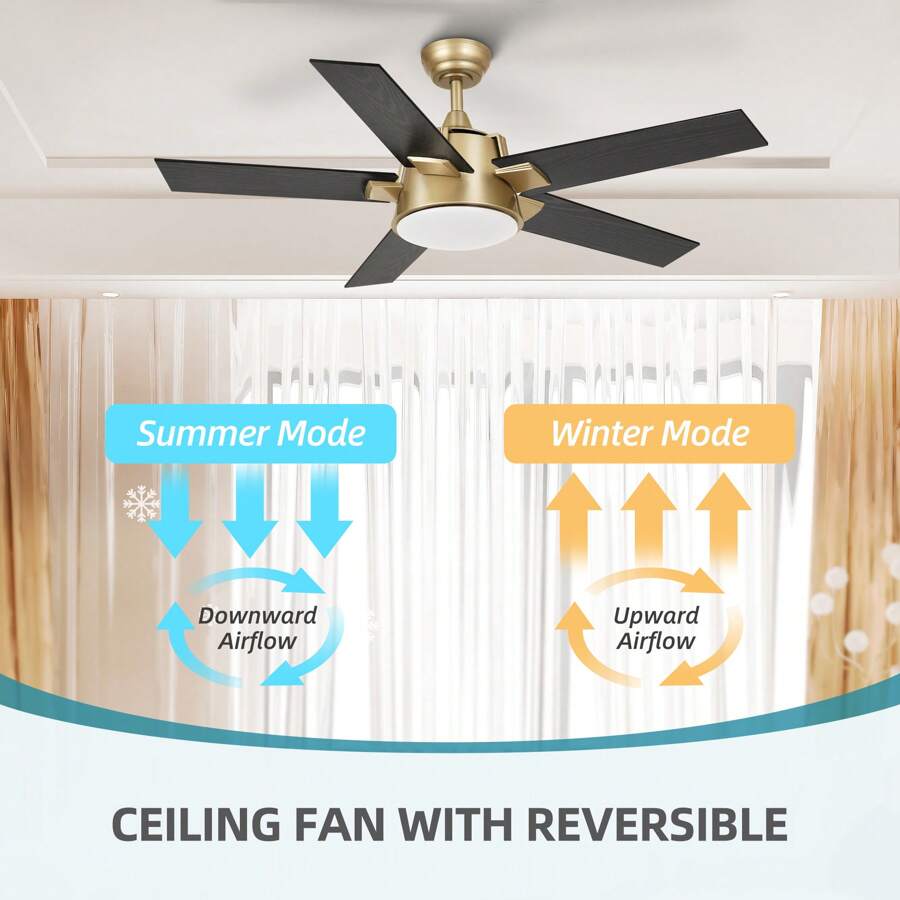 52'' Ceiling Fan With Light And Wall Switch Remote Modern Fan