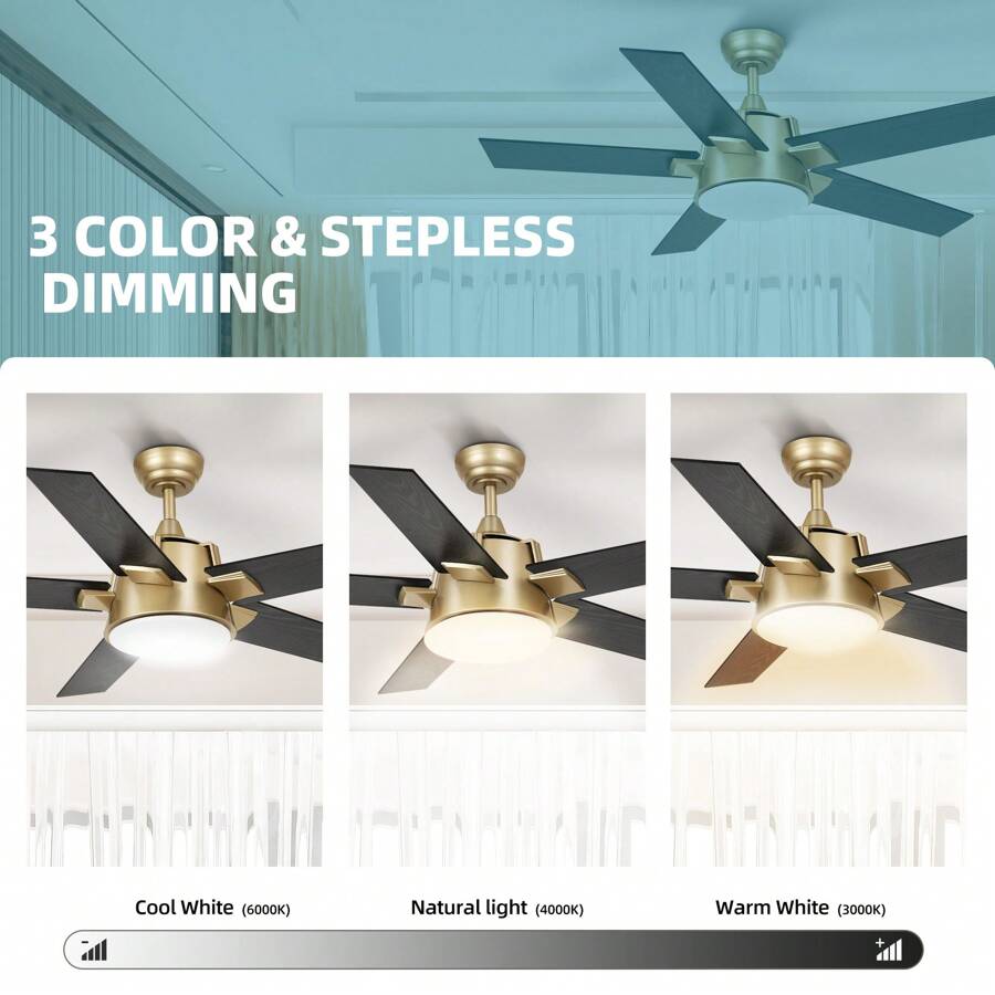 52'' Ceiling Fan With Light And Wall Switch Remote Modern Fan