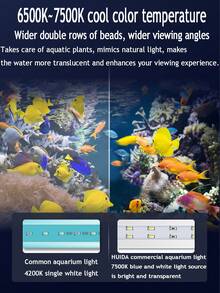 鱼缸夹灯水族造景海水LED灯微型乌龟草架灯180°折叠鱼缸氛围灯180°广角聚光灯蓝白双色光独立开关控制7500k冷色温高亮度灯珠光感调节欧规插头 - 白色 - 查看 4