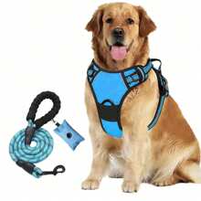 3pcs/Set Ultimate Dog Walking Set - Chest Harness, Leash, Poop Bag Dispenser - Ideal For Medium & Large Dogs, Extra Comfort And Adjustable Fit