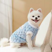 秋冬季加垫背心，适合贵宾犬、泰迪熊、雪纳瑞犬和猫 - 彩色 - 查看 12