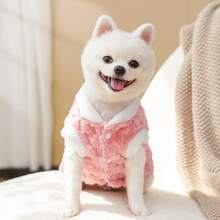 秋冬季加垫背心，适合贵宾犬、泰迪熊、雪纳瑞犬和猫 - 彩色 - 查看 9