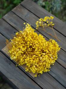 50/70/100/300 件或 50/150 克迷你满天星花和其他干花 - 用于树脂模具艺术工艺品、象牙白花束，可用作发饰、婚礼花环、桌上花瓶、家居装饰