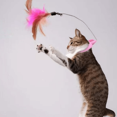 1 Juguete para gato que libera sus manos, un juguete de collar para gato, una varilla de juego para gato, un collar de auto-entretenimiento, un juguete con pluma simulada y campana para gato, un producto para mascotas