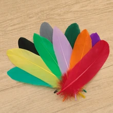 30-300 piezas/Set Plumas de plumón de ganso suaves para decoración de tocados, fiesta, festival, accesorios de actuación en el escenario, manualidades DIY