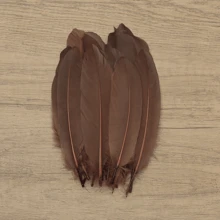 30-300 piezas/Set Plumas de plumón de ganso suaves para decoración de tocados, fiesta, festival, accesorios de actuación en el escenario, manualidades DIY