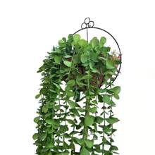 Kit 2 Corner Wall Pots Coconut Fiber Support For Natural And Artificial Hanging Plants - 鏽棕色 - 查看 4