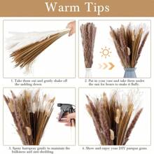 440 Pcs Dried Pampas Grass Decor Bulk 17 Inch White Pampas Reed Grass Fluffy Pampas Grass Tall 5 Various Natural Dried Flower Bouquet Original Bunny Tails For Home Table Wedding Party Boho Decor