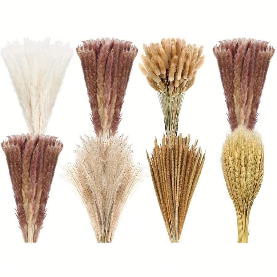 440 Pcs Dried Pampas Grass Decor Bulk 17 Inch White Pampas Reed Grass Fluffy Pampas Grass Tall 5 Various Natural Dried Flower Bouquet Original Bunny Tails For Home Table Wedding Party Boho Decor