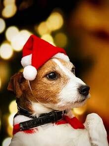 1/2pcs Pet Christmas Hat - Mini Holiday Decor For Dogs And Cats, Made Of Fabric Material, Cute Outfit For Party And Vacation - Red - View 8