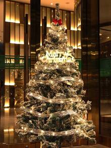 1 件 - 5 米/1 米圣诞树装饰丝带灯，LED 电池供电仙女灯串，适用于圣诞派对室内室外装饰 - 銀色 - 查看 4