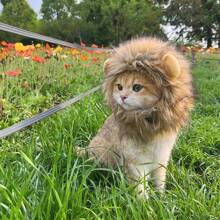 New Cute Funny Pets Clothes Cap Cute Cat Wig Lion Mane Costume Cosplay Kitten Dog Hat With Ears Fancy Party Supplies