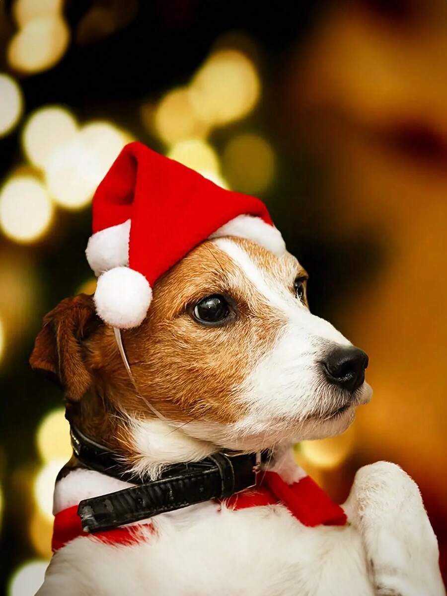 1/2pcs Pet Christmas Hat - Mini Holiday Decor For Dogs And Cats, Made Of Fabric Material, Cute Outfit For Party And Vacation - Red - View 1