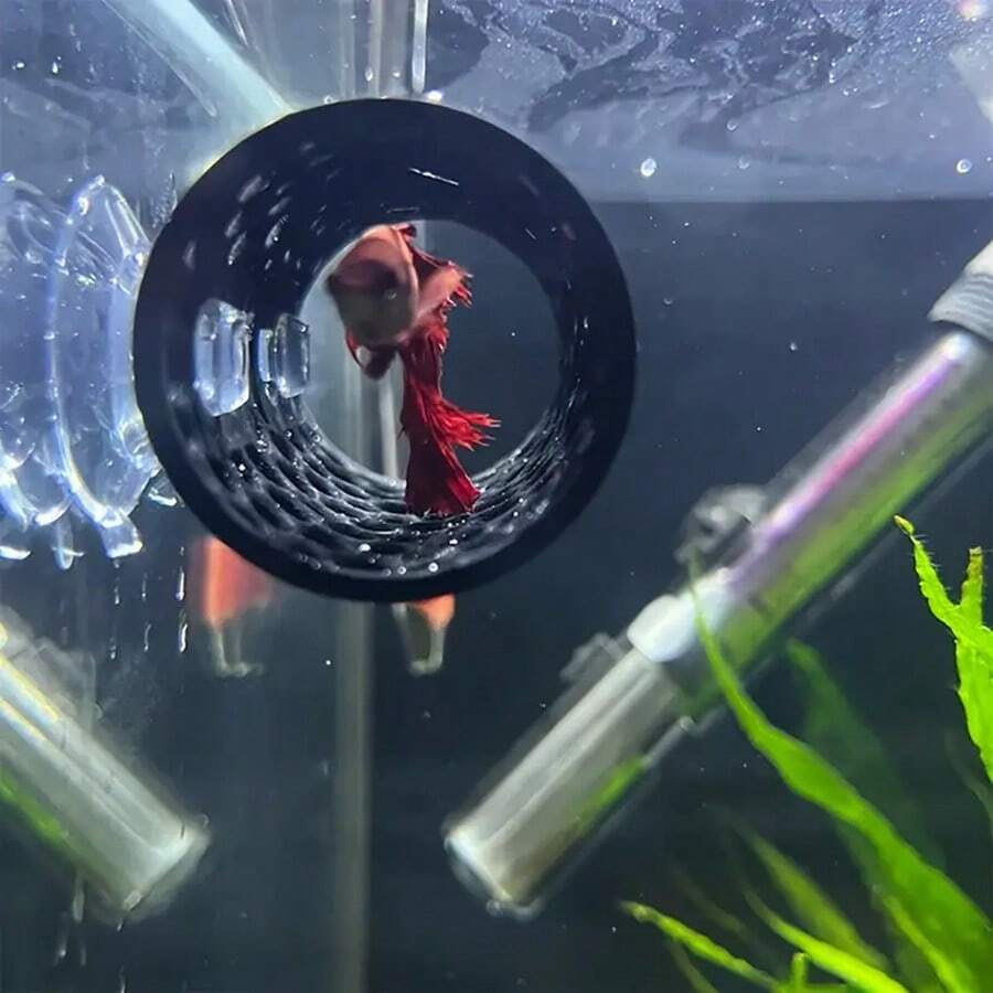 Betta Fish Hideout Tube With Suction Cups Aquarium Safe ABS Sleeping