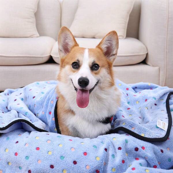 1Pc Soft And Comfortable Coral Fleece Dot Pattern Pet Blanket, Dog And Cat Quilt Pet Bed Mat, Pet Bed Mat, Eash To Wash Machine Washable,Can Be Used In Dog Beds,Cat Beds,Sofas, Cars, Floors, It Provides Comfort And Warmth For Your Pets Friends, Best Gifts For Your Girl Friend, Mother, Father, Thanksgiving, Christmas, Halloween, New Year.