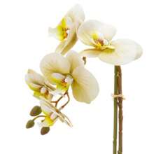 Artificial Silicone Orchid Arrangement With Mirrored Onyx Glass Vase - 青檸色 - 查看 2