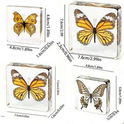 1个大尺寸（4.8cm/7.5cm）透明展翅蝶、蜘蛛、蝴蝶、巨型蜈蚣系列模型。昆虫标本，永久保存动物模型工艺品，真实自然界昆虫蝴蝶树脂标本书挡，透明亚克力方形动植物昆虫模型装饰工艺品（水晶工艺品易碎，小心磕碰）