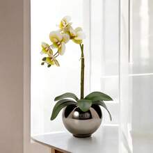 Artificial Silicone Orchid Arrangement With Mirrored Onyx Glass Vase - 青檸色 - 查看 4