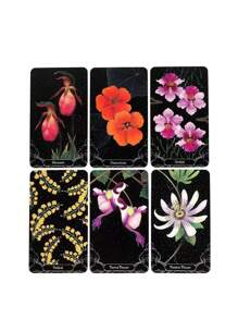1 Set Baraja de Cartas Oráculo Botánico "Un Poco de Lluvia", Juego de Cartas, Cartas de Tarot, Baraja de Cartas - Multicolor - Ver 6