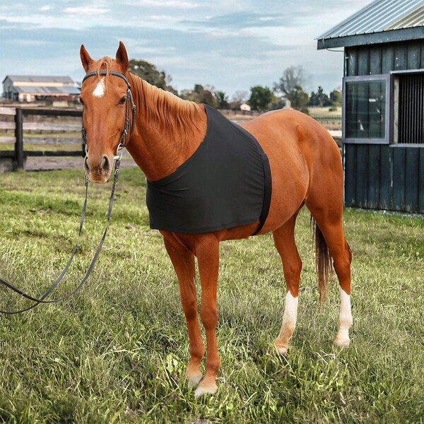 Chaleco elástico negro para caballos, protector de pecho anti-fricción, soporte para hombros, babero, equipo de protección ecuestre transpirable y resistente al desgaste, accesorios para deportes ecuestres