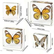 1pc Large Size (4.8cm/7.5cm) Transparent Spread Wings Butterfly, Spider, Butterfly, Giant Centipede Series Model. Insect Specimen, Permanent Preservation Animal Model Crafts, Real Nature Insect Butterfly Resin Specimen Bookend, Transparent Acrylic Square Plant And Animal Insect Model Decorative Craft (Crystal Crafts Are Fragile, Beware Of Bumps) - Multicolor - View 5