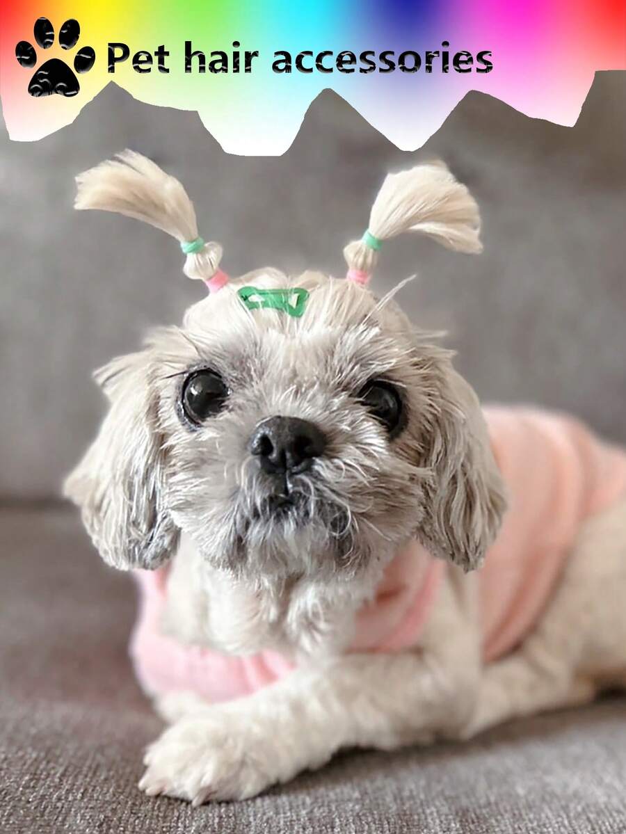 1000pcs Random Color Disposable Pet Hair Tie For Cat & Dog For Decoration