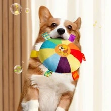 1 Pc Color Random Plush Squeaky Dog Toy - Cartoon Pattern, Interactive No-Battery Sound Toys For All Breeds, Puppy Play And Training Game Accessory