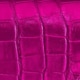 Rosa Fucsia