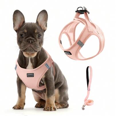 Szelki dla psa dla małych i średnich psów, zestaw szelek i smyczy dla szczeniaka, zestaw szelek i smyczy dla psa, kamizelka dla psa, szelki dla psa dla małych psów, szelki dla małych psów