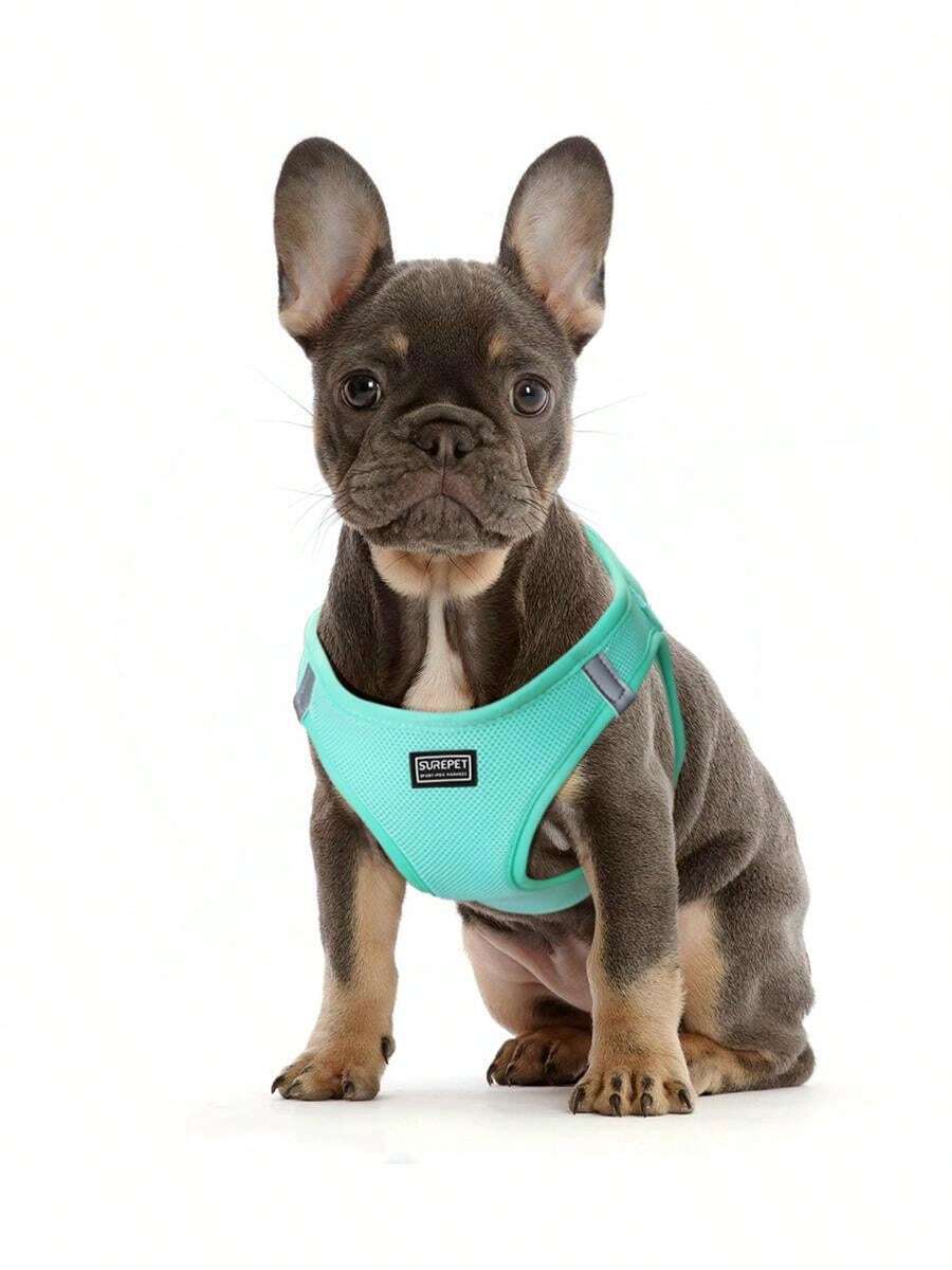 Dog Harness For Small Medium Sized Dog, Puppy Harness And Leash Set