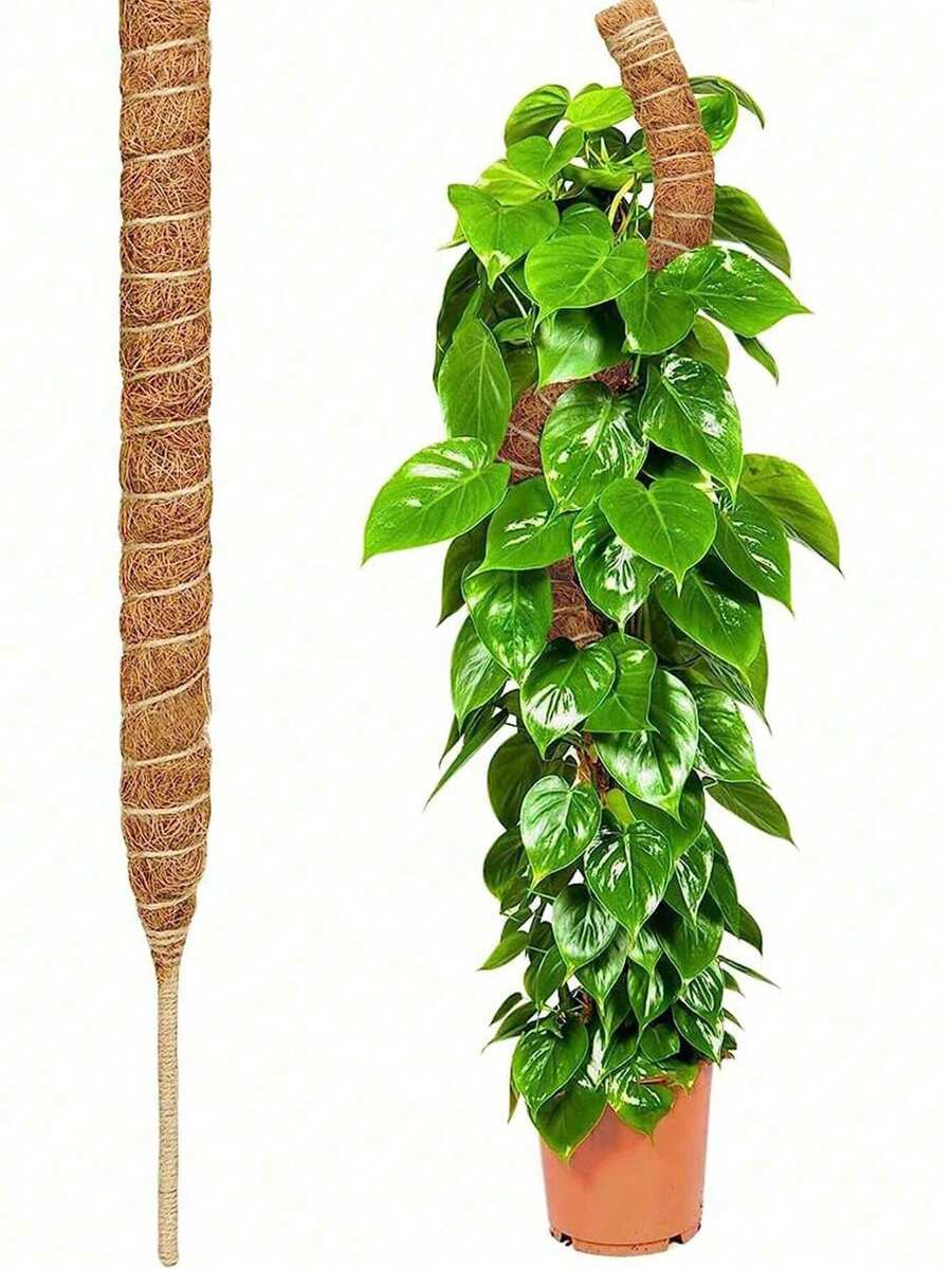 Plant Support Plant Stakes, Half Round Plant Support Ring Plastic Plant