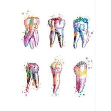 1 件牙种植体帆布壁画牙科艺术海报牙医解剖图医学壁画医院诊所装饰无框 - 多色 - 查看 32