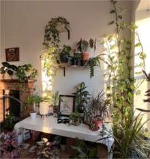 L-Shaped Bracket 20cm Industrial Style Shelf Support In Semi-Gloss Black 2 Pieces - màu đen - Xem 7