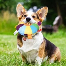 1 Pc Color Random Plush Squeaky Dog Toy - Cartoon Pattern, Interactive No-Battery Sound Toys For All Breeds, Puppy Play And Training Game Accessory