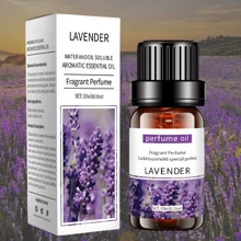 10ml Aromatherapy Essential Oil,Car Aromatherapy Long Lasting Fragrance,Relax Your Mood, Freshen The Air,For Women, Mom, Wife, Sister, Teen, Girl Friend,Can Be Used In Room, Living Room, Kitchen, Office--Water Soluble