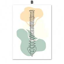 1 pieza Póster de arte de pared de pintura en lienzo de anatomía de huesos humanos esternón, columna vertebral, corazón, cerebro sin marco para decoración de sala de clínica o consultorio médico - Multicolor - Ver 21