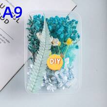 1 Box Handmade DIY Flower Box Eternal Christmas Holiday Decoration, In Stock Hot Sell - Multicolor - View 9