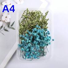 1 Box Handmade DIY Flower Box Eternal Christmas Holiday Decoration, In Stock Hot Sell - Multicolor - View 12