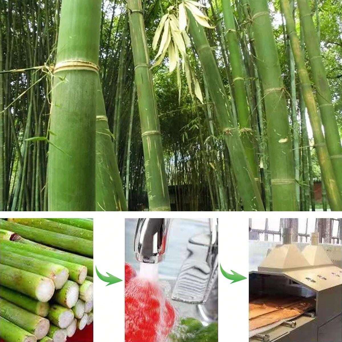 Organic Natural Snacks Apple Tree Branches, Sweet Bamboo, Timoth Hay, Alfalfa, Dental Treats