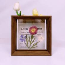 现代简约三角边叶蝴蝶标本相框宝宝照片毕业证明信片身份证奖状木制画架工作室明星礼品相框励志语录 - 多色 - 查看 5