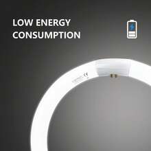 Aigostar - T9 Tubo Circular Fluorescente G10q, 32W, luz fria 6500K, 220-240V, 2100lm, 50Hz, 30cm. - 30cm - Ver 4