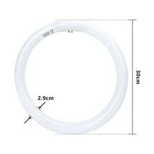 Aigostar - T9 Tubo Circular Fluorescente G10q, 32W, luz fria 6500K, 220-240V, 2100lm, 50Hz, 30cm. - 30cm - Ver 1