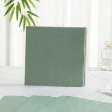 24 chiếc đĩa giấy và khăn ăn dùng một lần màu xanh lá cây và vàng Sage, thích hợp cho tiệc tùng, sinh nhật, đám cưới, dã ngoại gia đình, Giáng sinh - Nhiều màu - Xem 6