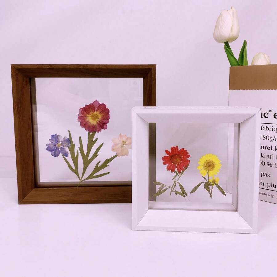 现代简约三角边叶蝴蝶标本相框宝宝照片毕业证明信片身份证奖状木制画架工作室明星礼品相框励志语录 - 多色 - 查看 1