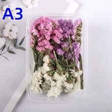 1 Box Handmade DIY Flower Box Eternal Christmas Holiday Decoration, In Stock Hot Sell - Multicolor - View 8